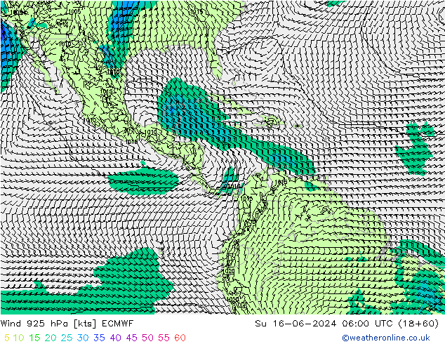 Vento 925 hPa ECMWF dom 16.06.2024 06 UTC