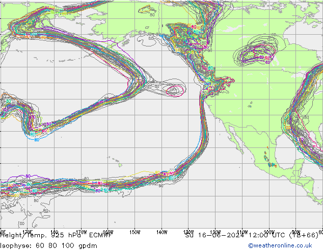 Height/Temp. 925 hPa ECMWF Su 16.06.2024 12 UTC