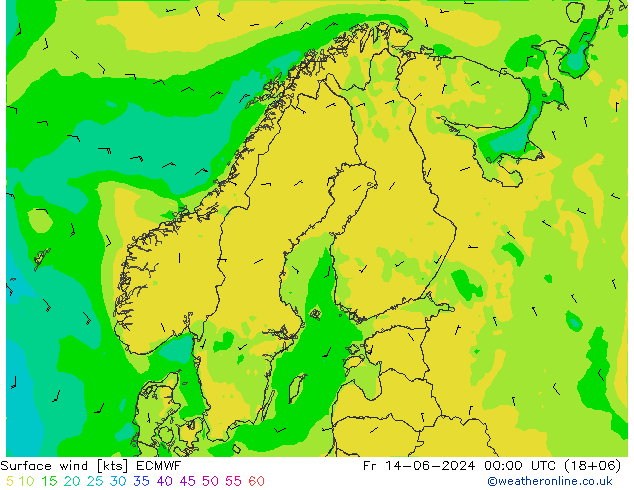 Bodenwind ECMWF Fr 14.06.2024 00 UTC