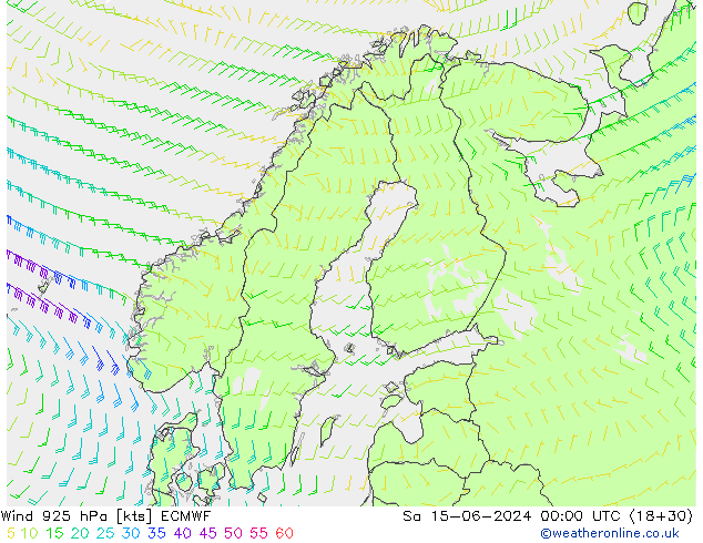 Wind 925 hPa ECMWF Sa 15.06.2024 00 UTC