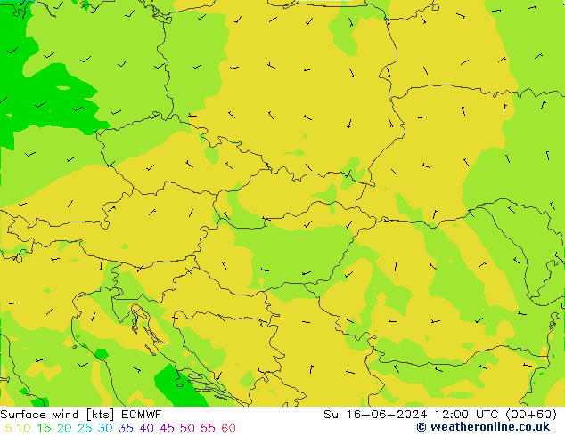 Wind 10 m ECMWF zo 16.06.2024 12 UTC