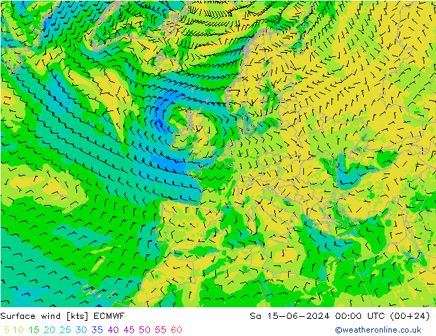 Surface wind ECMWF Sa 15.06.2024 00 UTC