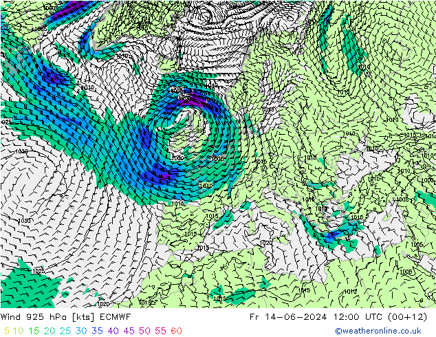 Wind 925 hPa ECMWF Fr 14.06.2024 12 UTC