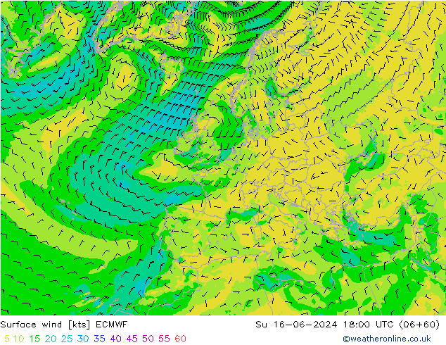 Surface wind ECMWF Su 16.06.2024 18 UTC