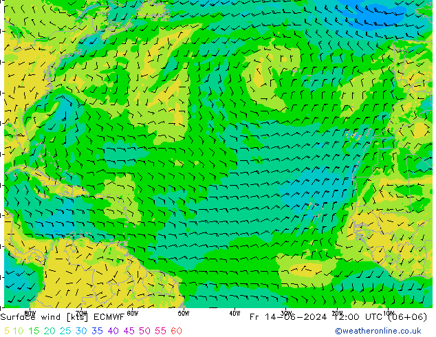 Surface wind ECMWF Fr 14.06.2024 12 UTC