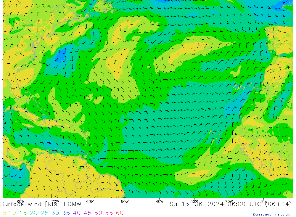 Surface wind ECMWF Sa 15.06.2024 06 UTC