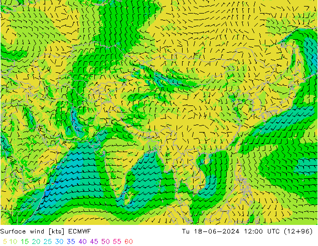 Surface wind ECMWF Út 18.06.2024 12 UTC