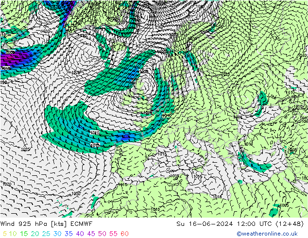 Wind 925 hPa ECMWF Su 16.06.2024 12 UTC