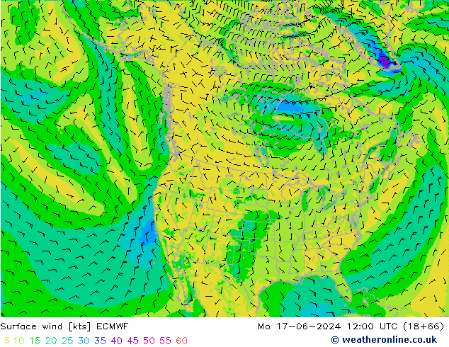 Surface wind ECMWF Mo 17.06.2024 12 UTC