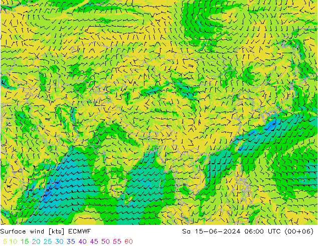 Viento 10 m ECMWF sáb 15.06.2024 06 UTC