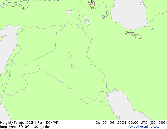 Height/Temp. 925 hPa ECMWF Ne 30.06.2024 00 UTC