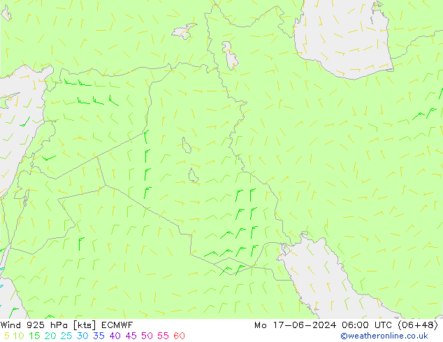 Rüzgar 925 hPa ECMWF Pzt 17.06.2024 06 UTC