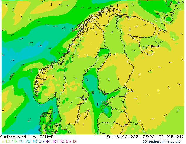 Vento 10 m ECMWF dom 16.06.2024 06 UTC