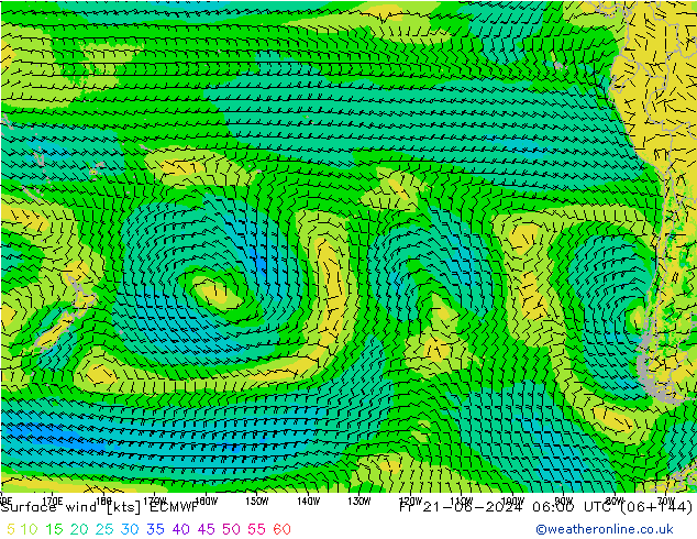 Surface wind ECMWF Fr 21.06.2024 06 UTC