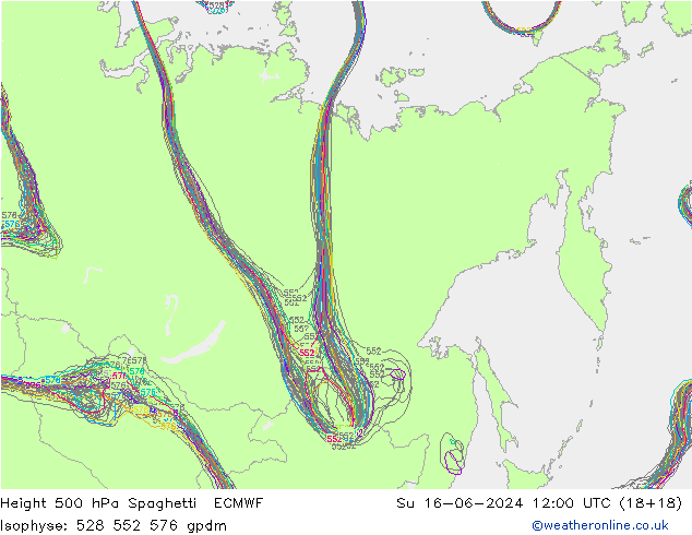 Height 500 hPa Spaghetti ECMWF Ne 16.06.2024 12 UTC