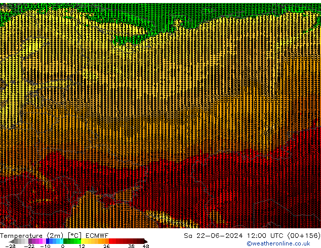     ECMWF  22.06.2024 12 UTC