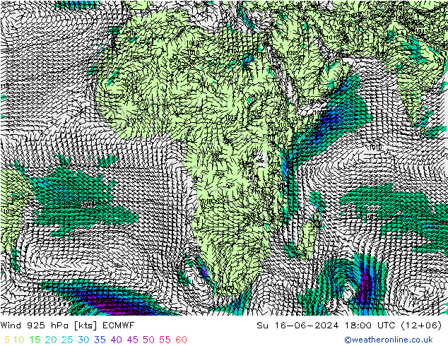 Rüzgar 925 hPa ECMWF Paz 16.06.2024 18 UTC