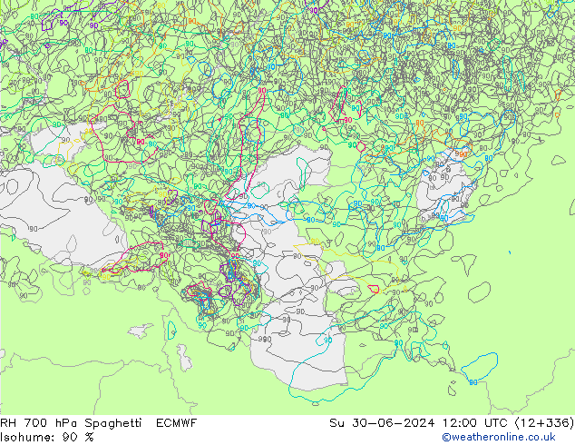 RH 700 hPa Spaghetti ECMWF Dom 30.06.2024 12 UTC