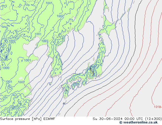 Yer basıncı ECMWF Paz 30.06.2024 00 UTC