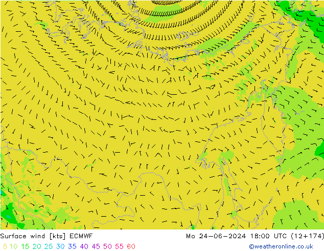 ветер 10 m ECMWF пн 24.06.2024 18 UTC