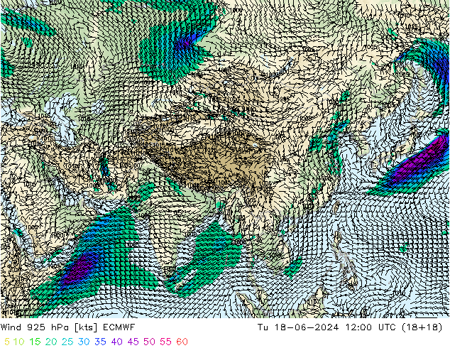 ветер 925 гПа ECMWF вт 18.06.2024 12 UTC