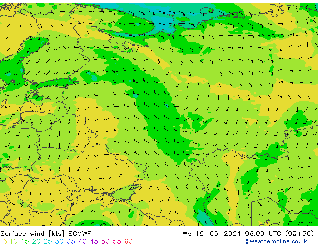  10 m ECMWF  19.06.2024 06 UTC