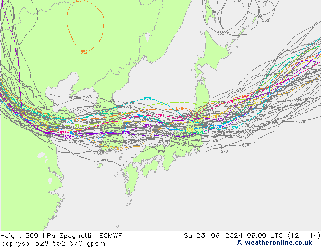 Height 500 гПа Spaghetti ECMWF Вс 23.06.2024 06 UTC