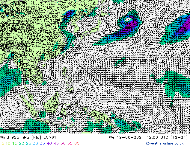 Rüzgar 925 hPa ECMWF Çar 19.06.2024 12 UTC