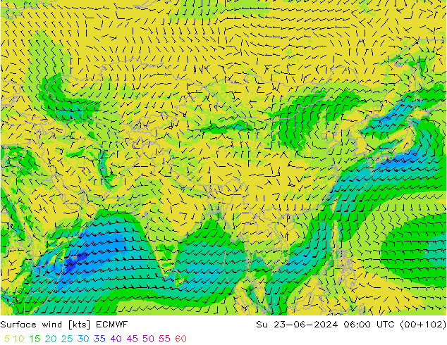 Vent 10 m ECMWF dim 23.06.2024 06 UTC