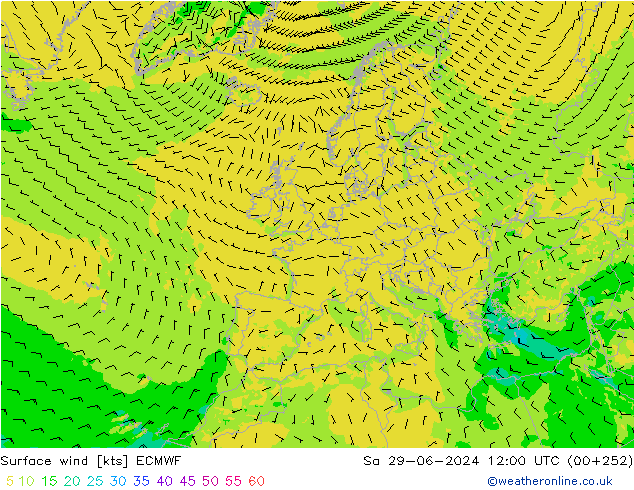 Vento 10 m ECMWF sab 29.06.2024 12 UTC