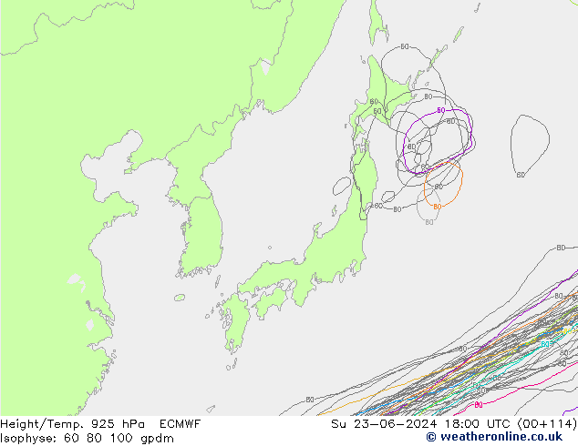 Hoogte/Temp. 925 hPa ECMWF zo 23.06.2024 18 UTC