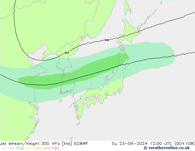 джет ECMWF Вс 23.06.2024 12 UTC