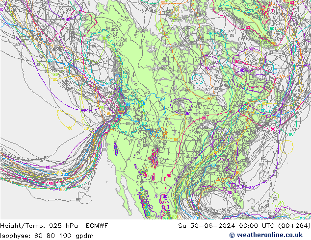 Height/Temp. 925 hPa ECMWF dom 30.06.2024 00 UTC