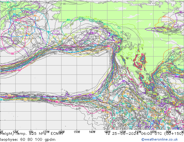 Height/Temp. 925 hPa ECMWF  25.06.2024 06 UTC