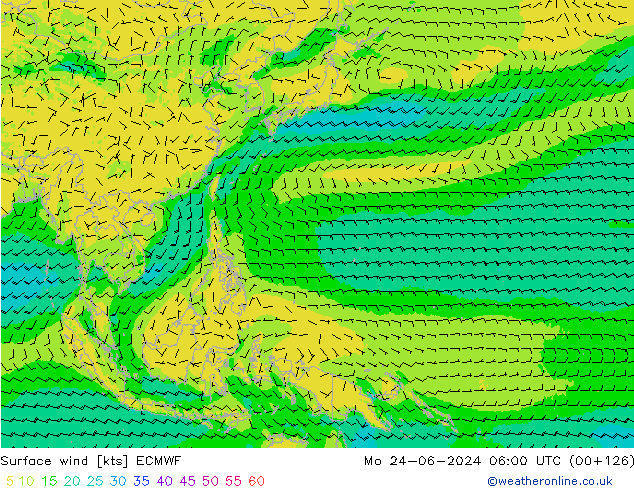 Wind 10 m ECMWF ma 24.06.2024 06 UTC