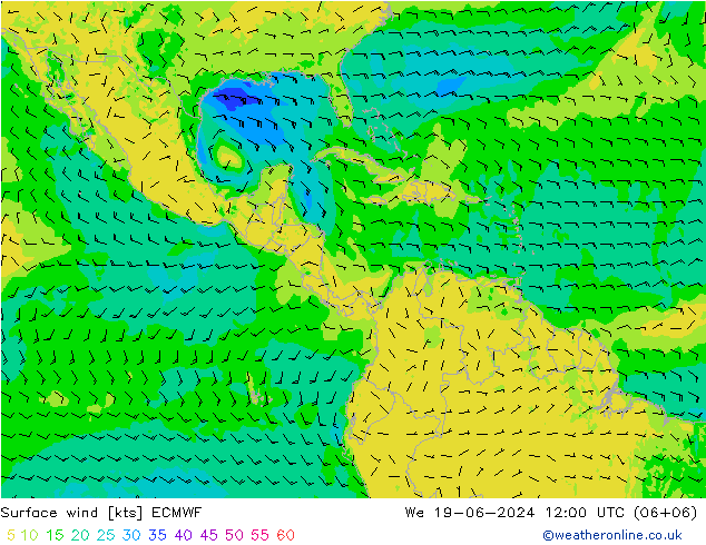 Surface wind ECMWF St 19.06.2024 12 UTC