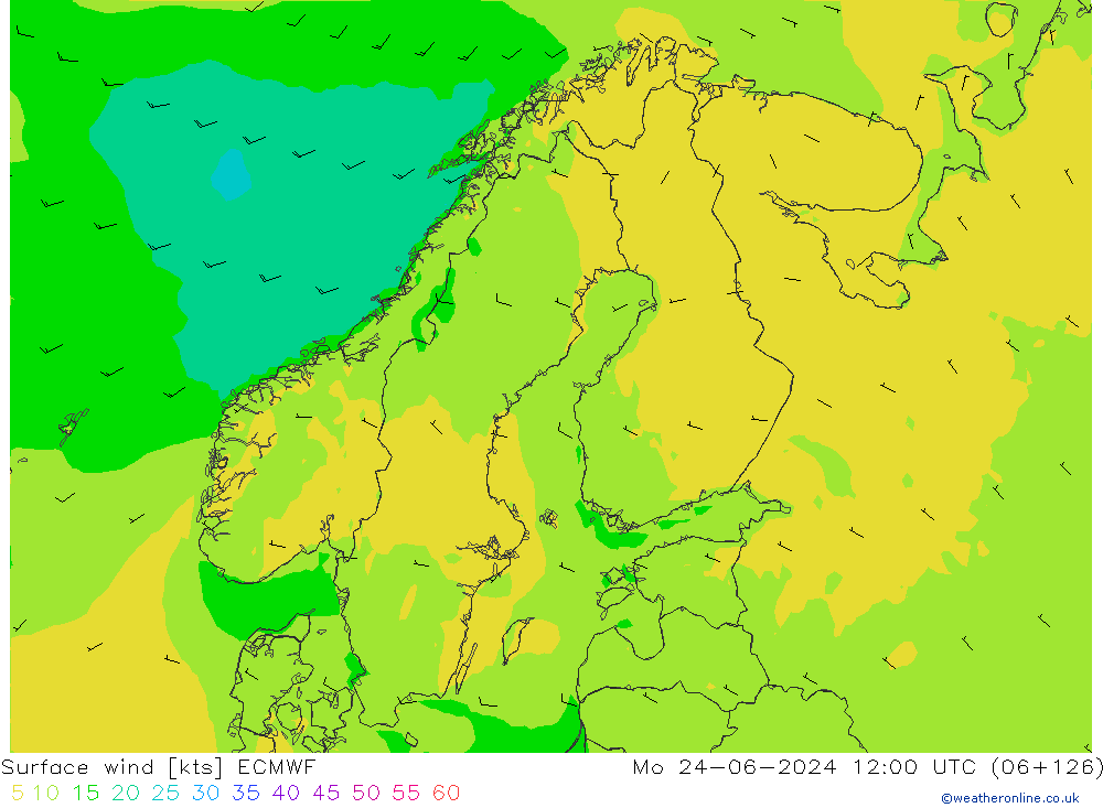 Wind 10 m ECMWF ma 24.06.2024 12 UTC