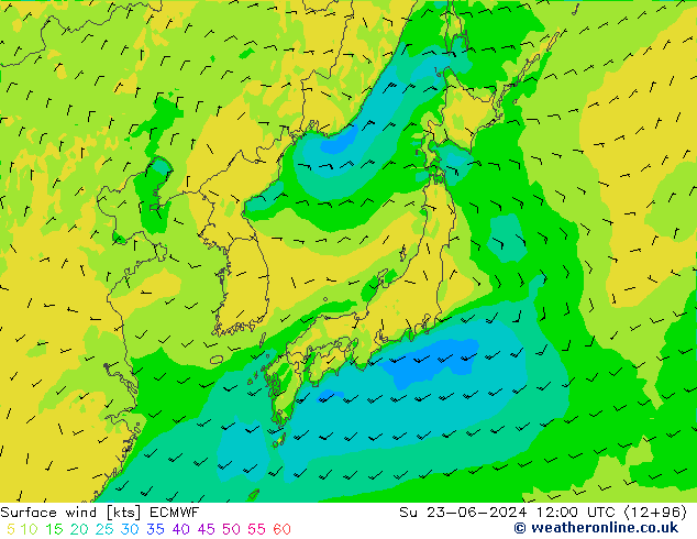 Rüzgar 10 m ECMWF Paz 23.06.2024 12 UTC