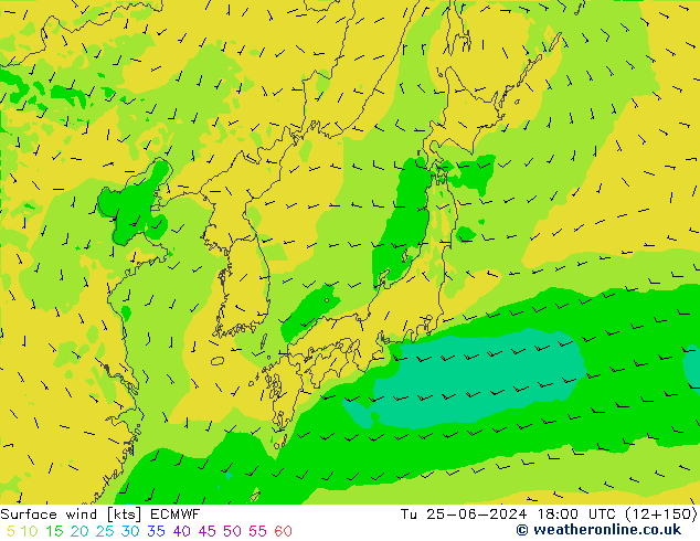 Surface wind ECMWF Út 25.06.2024 18 UTC