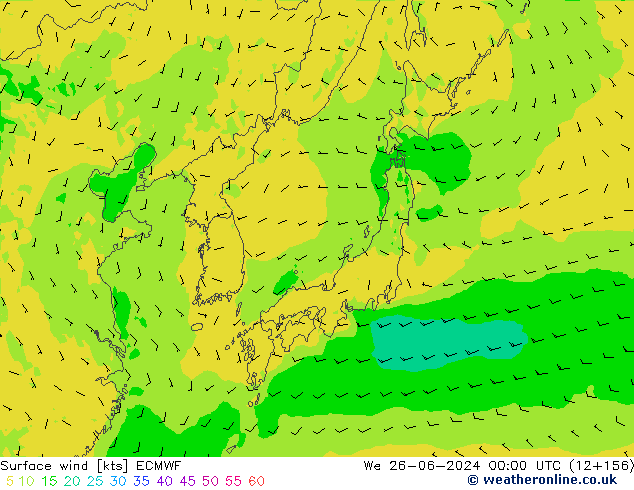 Vento 10 m ECMWF mer 26.06.2024 00 UTC