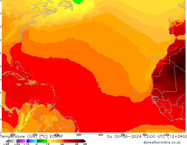 Temperature (2m) ECMWF Ne 30.06.2024 12 UTC