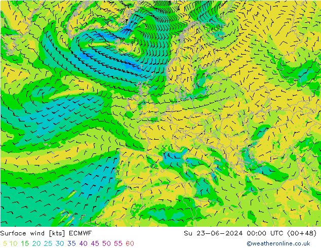 Surface wind ECMWF Su 23.06.2024 00 UTC