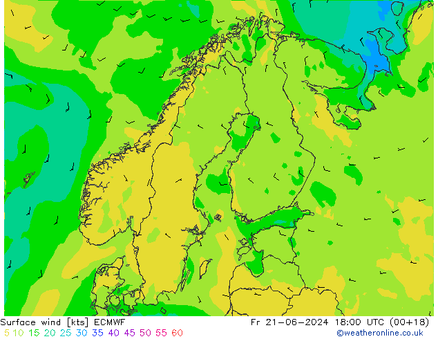 Vento 10 m ECMWF ven 21.06.2024 18 UTC