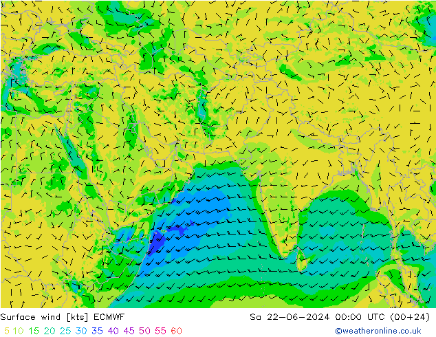 Surface wind ECMWF Sa 22.06.2024 00 UTC