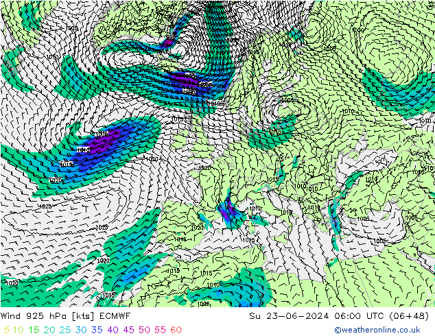  925 hPa ECMWF  23.06.2024 06 UTC