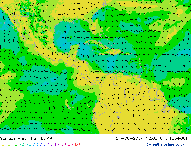 Surface wind ECMWF Fr 21.06.2024 12 UTC