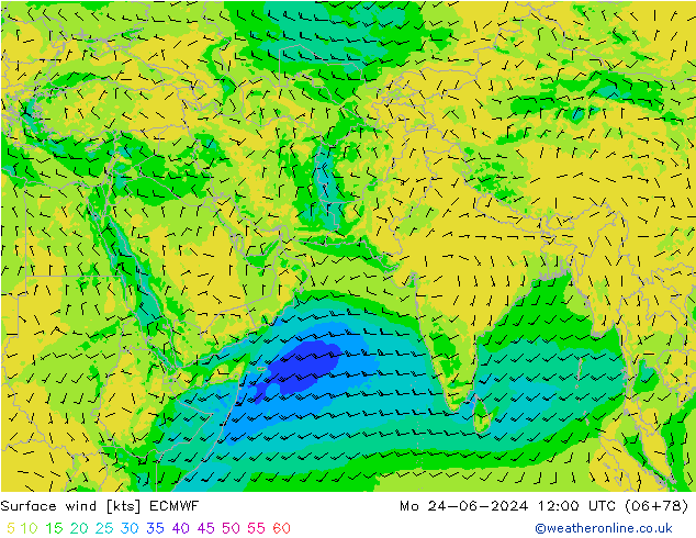 ветер 10 m ECMWF пн 24.06.2024 12 UTC