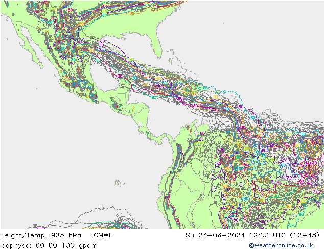 Hoogte/Temp. 925 hPa ECMWF zo 23.06.2024 12 UTC