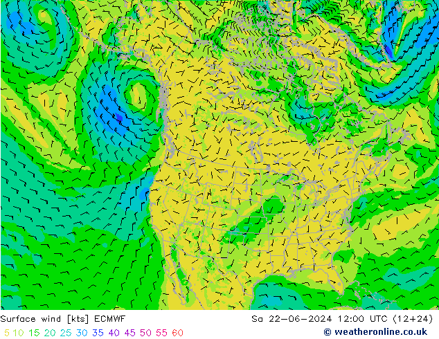 Bodenwind ECMWF Sa 22.06.2024 12 UTC