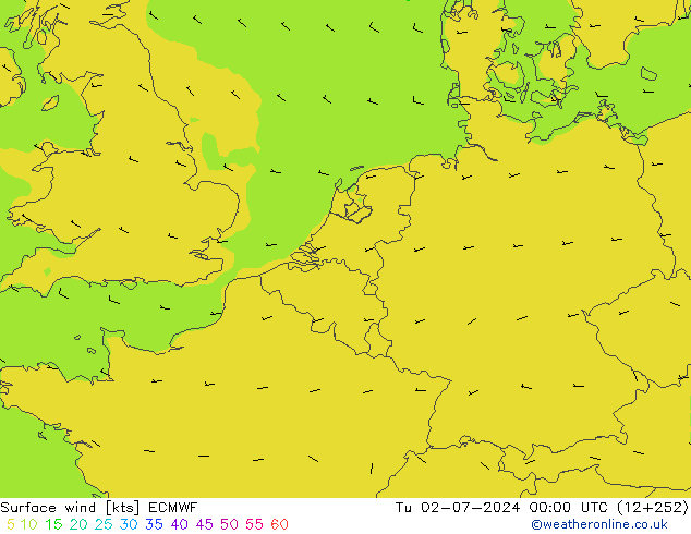 Surface wind ECMWF Tu 02.07.2024 00 UTC